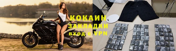 стаф Алзамай