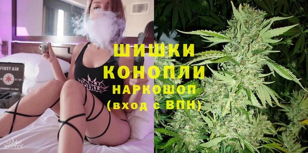 шишки Абаза