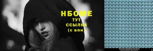 стаф Алзамай