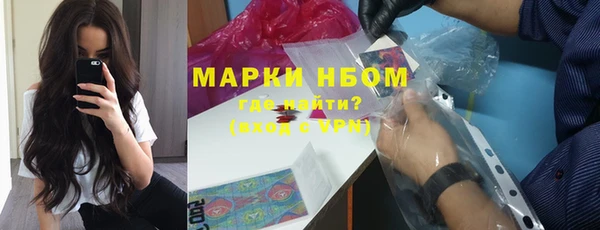 стаф Алзамай