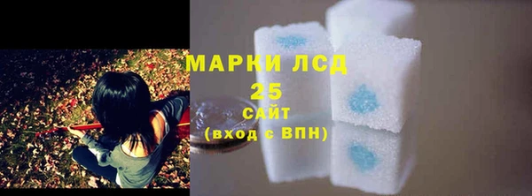 шишки Абаза