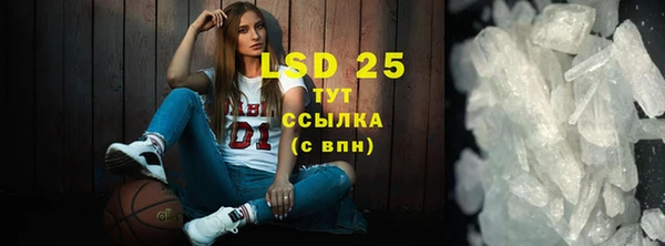 стаф Алзамай
