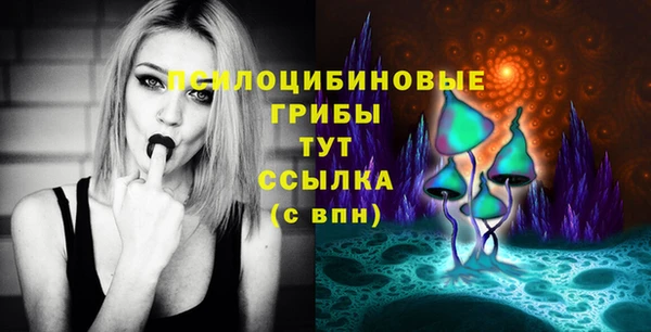 2c-b Абинск