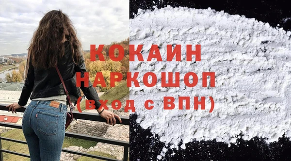 шишки Абаза