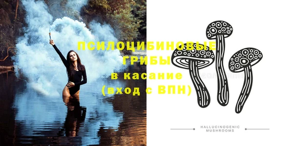 шишки Абаза