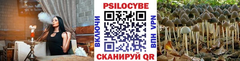 Галлюциногенные грибы прущие грибы  как найти закладки  mega tor  Зуевка 